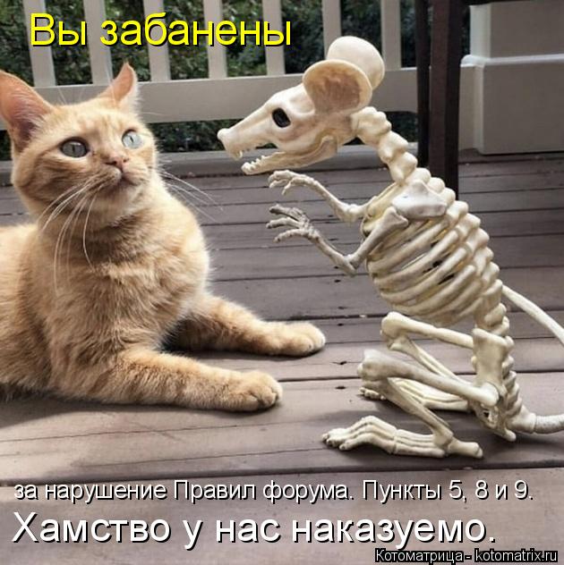 Котоматрица: Вы забанены  за нарушение Правил форума. Пункты 5, 8 и 9.  Хамство у нас наказуемо.