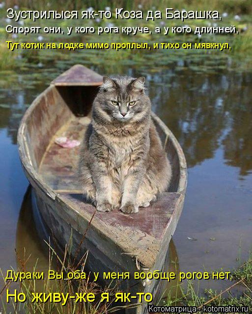 Котоматрица: Зустрилыся як-то Коза да Барашка, Спорят они, у кого рога круче, а у кого длинней, Тут котик на лодке мимо проплыл, и тихо он мявкнул,  Дураки В?