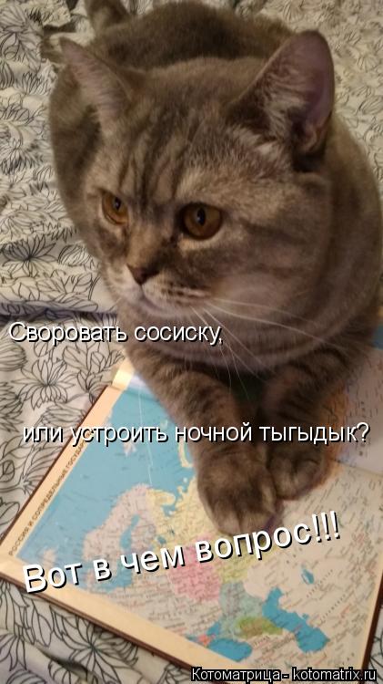 Своровать сосиску, или устроить ночной тыгыдык? Вот в чем вопрос!!!... Котоматрица: Своровать сосиску, или устроить ночной тыгыдык? Вот в чем вопрос!!!