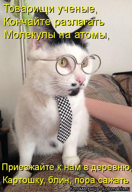 Товарищи ученые, Кончайте разлагать Молекулы на атомы, Приезжайте к нам в деревню, Картошку, блин, по... Котоматрица: Товарищи ученые, Кончайте разлагать Молекулы на атомы, Приезжайте к нам в деревню, Картошку, блин, пора сажать