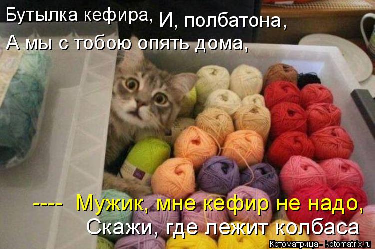 Котоматрица: Бутылка кефира,  И, полбатона,  А мы с тобою опять дома, Скажи, где лежит колбаса ----  Мужик, мне кефир не надо,