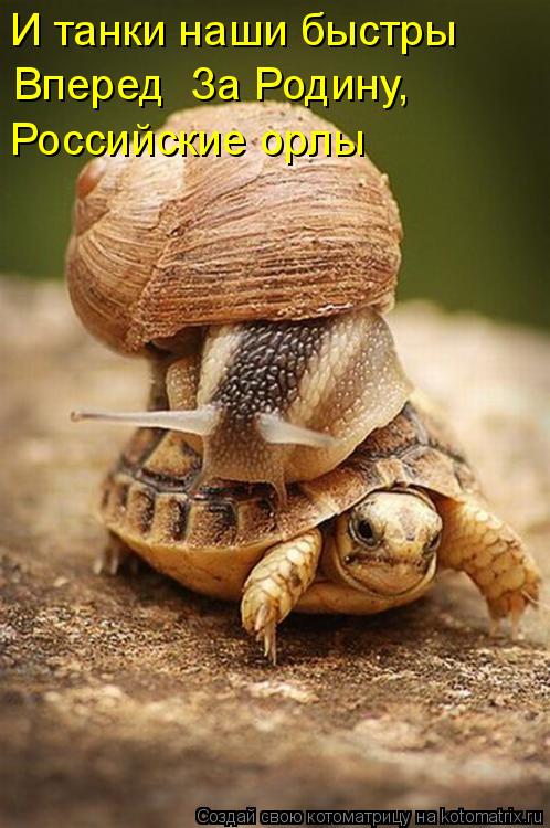 И танки наши быстры Вперед За Родину, Российские орлы... Котоматрица: И танки наши быстры Вперед За Родину, Российские орлы