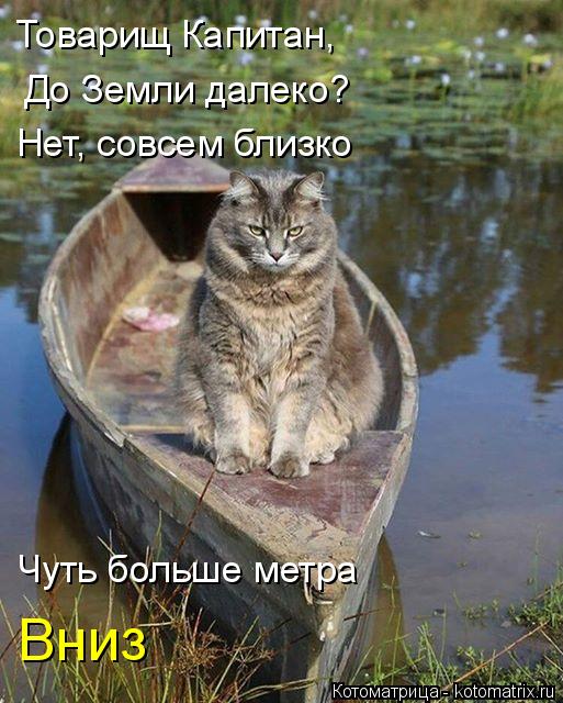 Котоматрица: До Земли далеко? Нет, совсем близко Чуть больше метра Товарищ Капитан, Вниз