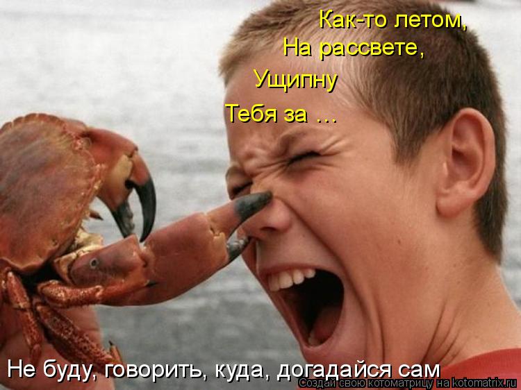 Котоматрица: Как-то летом, На рассвете,  Ущипну  Тебя за … Не буду, говорить, куда, догадайся сам