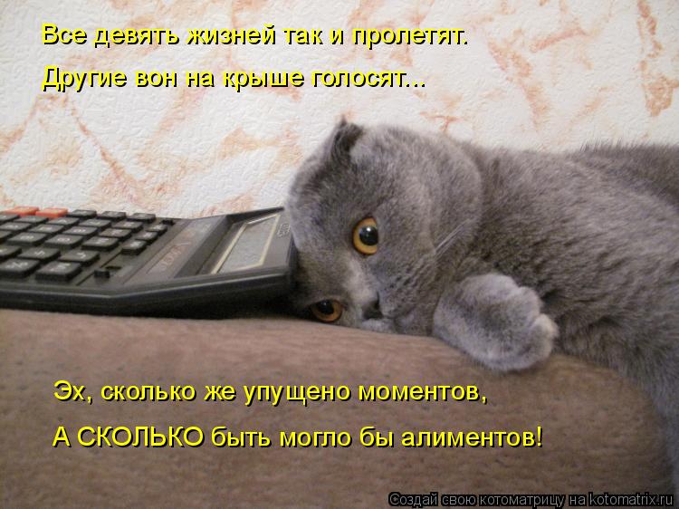 :     ...  ,    ,      !       .
