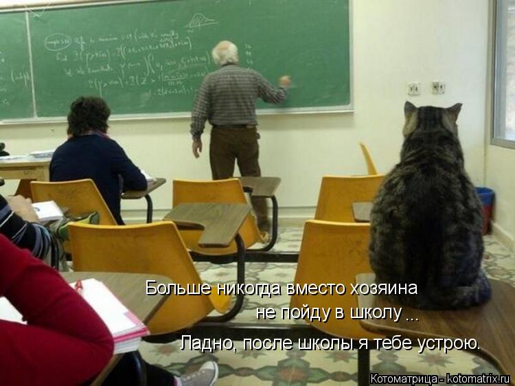 Больше никогда вместо хозяина не пойду в школу ... Ладно, после школы я тебе устрою.... Котоматрица: Больше никогда вместо хозяина не пойду в школу ... Ладно, после школы я тебе устрою.