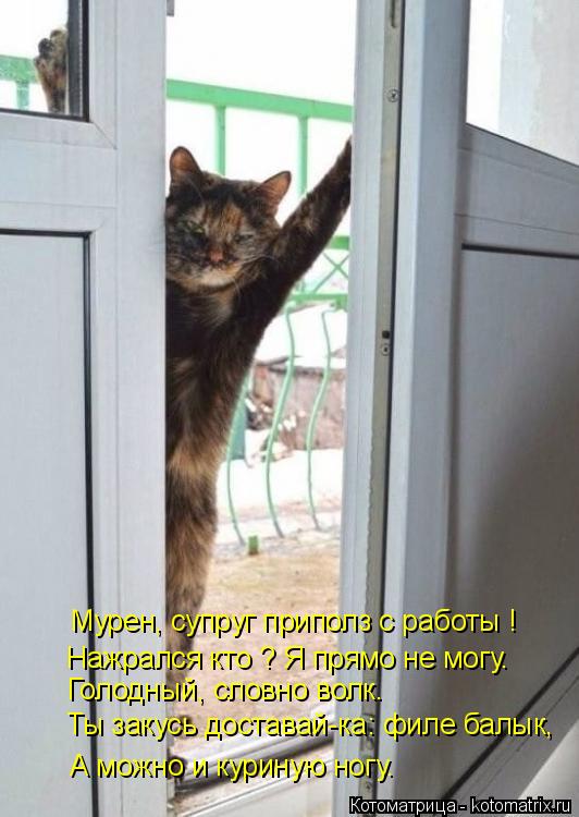 Нажрался кто ? Я прямо не могу. Голодный, словно волк. Ты закусь доставай-ка: филе балык, А можно и к... Котоматрица: Нажрался кто ? Я прямо не могу. Голодный, словно волк. Ты закусь доставай-ка: филе балык, А можно и куриную ногу. Мурен, супруг приполз с работы