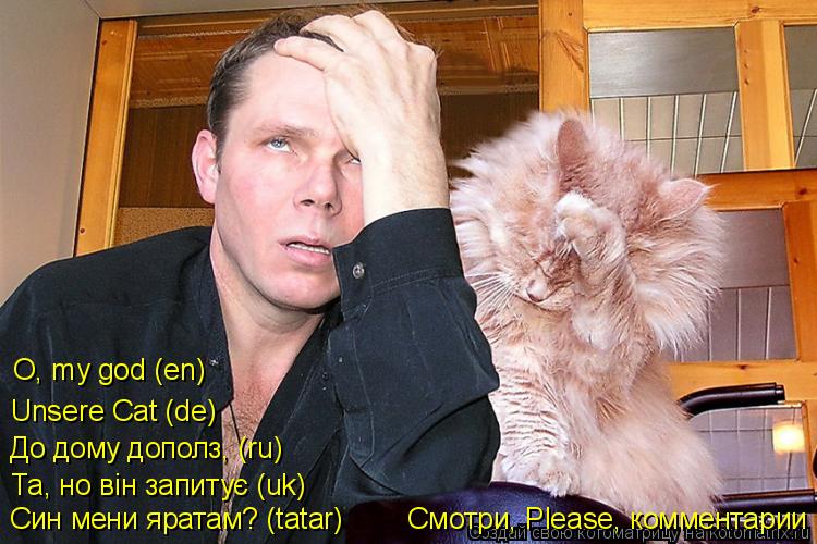 Котоматрица: Син мени яратам? (tatar)        Смотри, Please, комментарии Та, но вiн запитує (uk) До дому дополз, (ru) Unsere Cat (de) O, my god (en)
