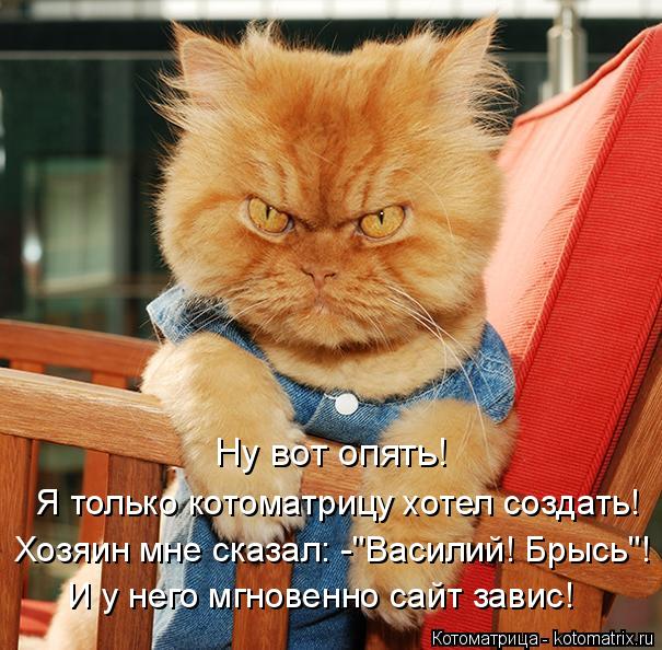 И у него мгновенно сайт завис! Хозяин мне сказал: -"Василий! Брысь"! Я только котоматрицу хотел созда... Котоматрица: И у него мгновенно сайт завис! Хозяин мне сказал: -"Василий! Брысь"! Я только котоматрицу хотел создать! Ну вот опять!