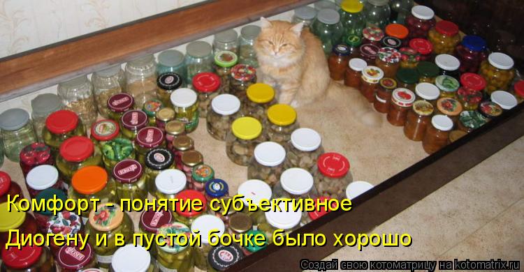Котоматрица: Комфорт - понятие субъективное Диогену и в пустой бочке было хорошо