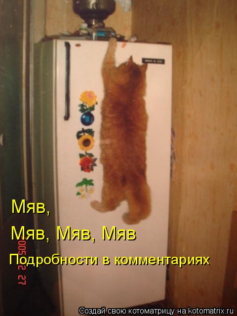 Котоматрица: Мяв, Подробности в комментариях Мяв, Мяв, Мяв
