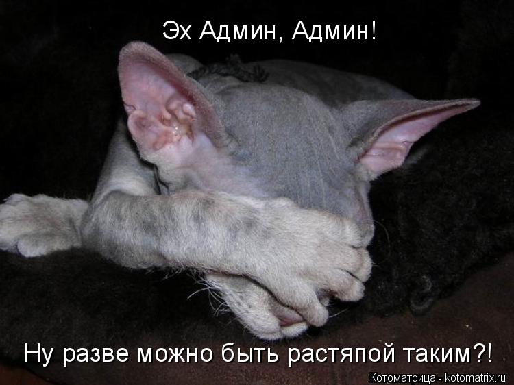 Эх Админ, Админ! Ну разве можно быть растяпой таким?!... Котоматрица: Эх Админ, Админ! Ну разве можно быть растяпой таким?!