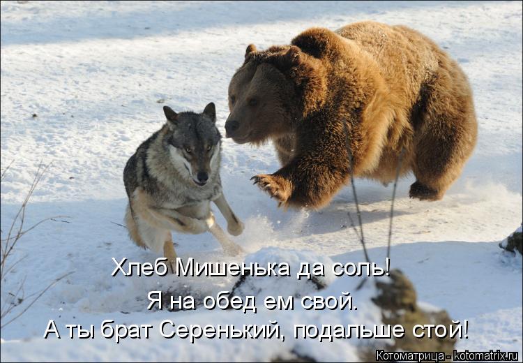 Хлеб Мишенька да соль! Я на обед ем свой. А ты брат Серенький, подальше стой!... Котоматрица: Хлеб Мишенька да соль! Я на обед ем свой. А ты брат Серенький, подальше стой!