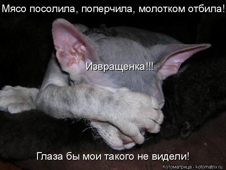 Мясо посолила, поперчила, молотком отбила! Извращенка!!! Глаза бы мои такого не видели!... Котоматрица: Мясо посолила, поперчила, молотком отбила! Извращенка!!! Глаза бы мои такого не видели!