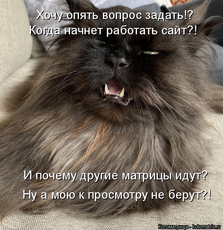 Хочу опять вопрос задать!? Когда начнет работать сайт?! И почему другие матрицы идут? Ну а мою к прос... Котоматрица: Хочу опять вопрос задать!? Когда начнет работать сайт?! И почему другие матрицы идут? Ну а мою к просмотру не берут?!