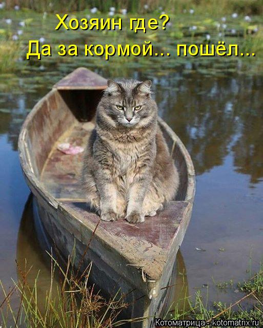 Хозяин где? Да за кормой... пошёл...... Котоматрица: Хозяин где? Да за кормой... пошёл...