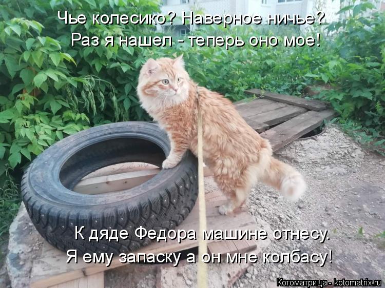 Раз я нашел - теперь оно мое! Чье колесико? Наверное ничье? К дяде Федора машине отнесу. Я ему запаск... Котоматрица: Раз я нашел - теперь оно мое! Чье колесико? Наверное ничье? К дяде Федора машине отнесу. Я ему запаску а он мне колбасу!