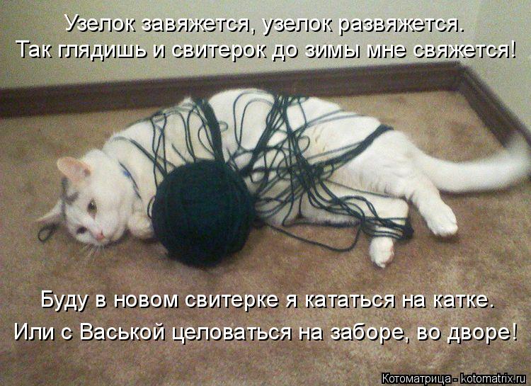 Так глядишь и свитерок до зимы мне свяжется! Узелок завяжется, узелок развяжется. Буду в новом свитер... Котоматрица: Так глядишь и свитерок до зимы мне свяжется! Узелок завяжется, узелок развяжется. Буду в новом свитерке я кататься на катке. Или с Васькой це
