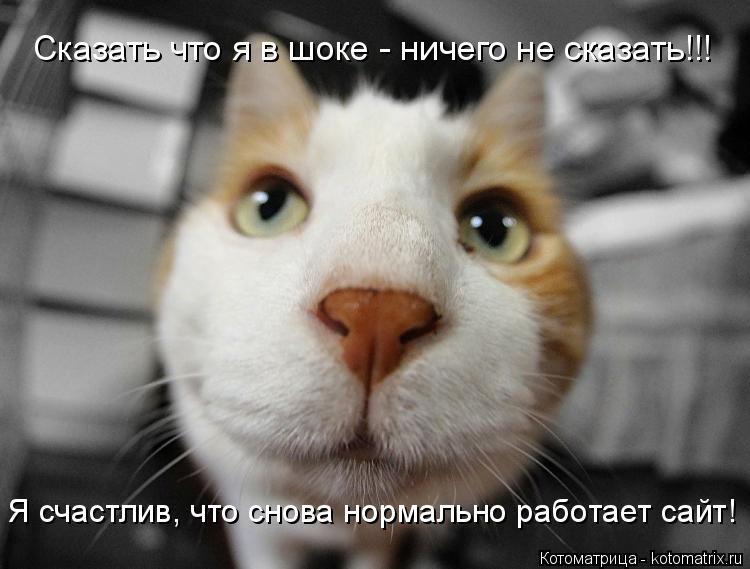 Сказать что я в шоке - ничего не сказать!!! Я счастлив, что снова нормально работает сайт!... Котоматрица: Сказать что я в шоке - ничего не сказать!!! Я счастлив, что снова нормально работает сайт!