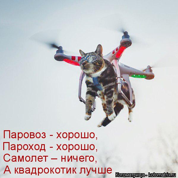 Котоматрица: А квадрокотик лучше Самолет – ничего,  Пароход - хорошо,  Паровоз - хорошо,