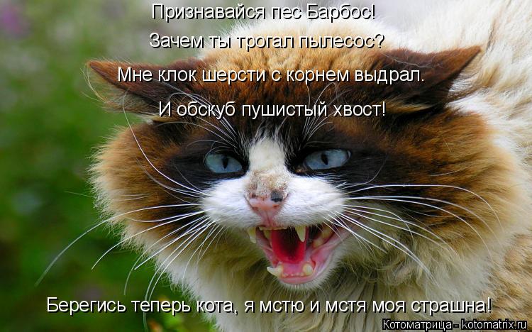 Признавайся пес Барбос! Зачем ты трогал пылесос? Мне клок шерсти с корнем выдрал. И обскуб пушистый х... Котоматрица: Признавайся пес Барбос! Зачем ты трогал пылесос? Мне клок шерсти с корнем выдрал. И обскуб пушистый хвост! Берегись теперь кота, я мстю и мст?