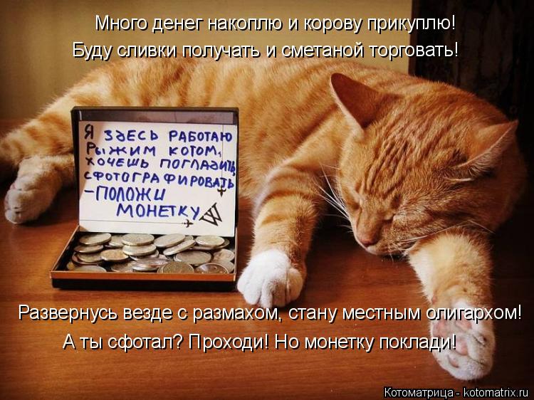 Много денег накоплю и корову прикуплю! Буду сливки получать и сметаной торговать! Развернусь везде с ... Котоматрица: Много денег накоплю и корову прикуплю! Буду сливки получать и сметаной торговать! Развернусь везде с размахом, стану местным олигархом! А т?