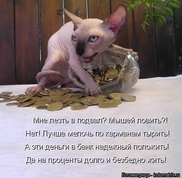 Мне лезть в подвал? Мышей ловить?! Нет! Лучше мелочь по карманам тырить! А эти деньги в банк надежный... Котоматрица: Мне лезть в подвал? Мышей ловить?! Нет! Лучше мелочь по карманам тырить! А эти деньги в банк надежный положить! Да на проценты долго и безбедн?