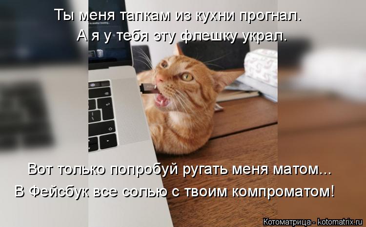 А я у тебя эту флешку украл. Вот только попробуй ругать меня матом... В Фейсбук все солью с твоим ком... Котоматрица: А я у тебя эту флешку украл. Вот только попробуй ругать меня матом... В Фейсбук все солью с твоим компроматом! Ты меня тапкам из кухни прогнал.