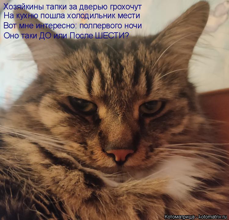 Хозяйкины тапки за дверью грохочут На кухню пошла холодильник мести Вот мне интересно: полпервого ноч... Котоматрица: Хозяйкины тапки за дверью грохочут На кухню пошла холодильник мести Вот мне интересно: полпервого ночи Оно таки ДО или После ШЕСТИ?