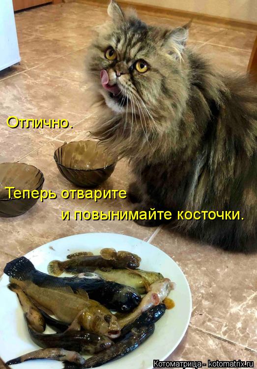 Отлично. Теперь отварите и повынимайте косточки.... Котоматрица: Отлично. Теперь отварите и повынимайте косточки.