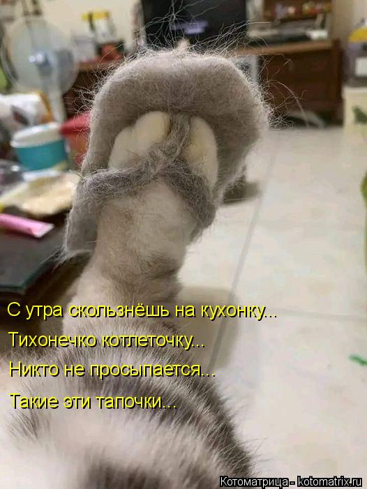 С утра скользнёшь на кухонку... Тихонечко котлеточку... Никто не просыпается... Такие эти тапочки...... Котоматрица: С утра скользнёшь на кухонку... Тихонечко котлеточку... Никто не просыпается... Такие эти тапочки...