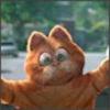 -koshechka-