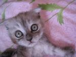 Нажмите здесь для просмотра фотографии большом размере.