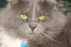 Kitsa_K