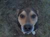 KlaS_PaW