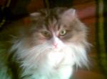 Нажмите здесь для просмотра фотографии большом размере.