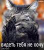 Ognezvezd_13_