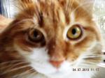 Нажмите здесь для просмотра фотографии большом размере.