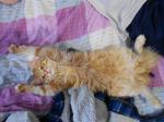 Нажмите здесь для просмотра фотографии большом размере.