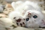 Нажмите здесь для просмотра фотографии большом размере.