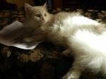 Нажмите здесь для просмотра фотографии большом размере.
