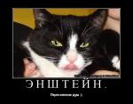 Нажмите здесь для просмотра фотографии большом размере.