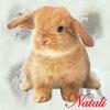 natali19