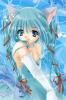 neko-chan