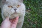 Нажмите здесь для просмотра фотографии большом размере.