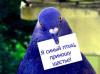 olx