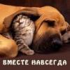 stalker1111